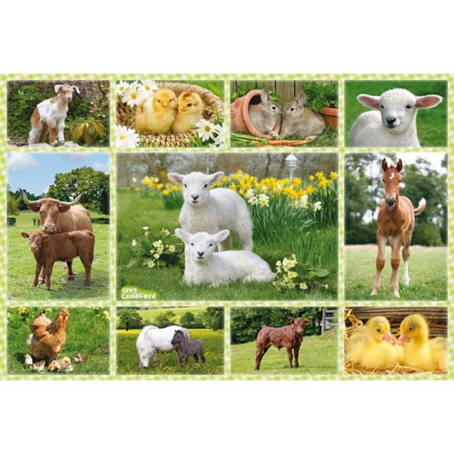 Bebes Animaux A La Ferme 100 Pieces Agripassion