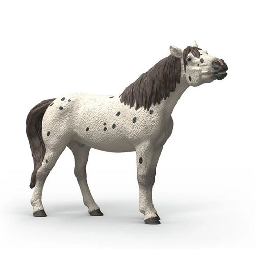 Hongre Knabstrupper Hongre Knabstrupper