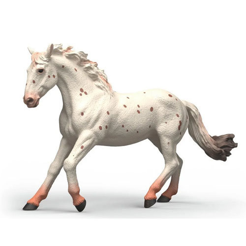 Jument Knabstrupper Jument Knabstrupper