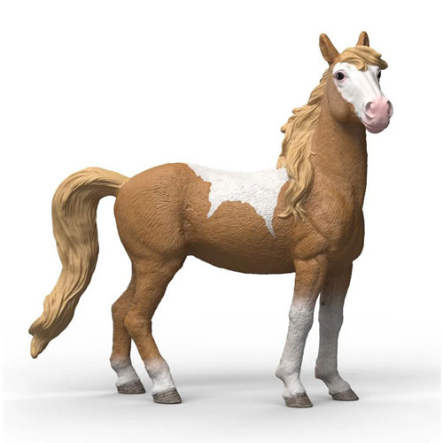 Jument Mustang Jument Mustang