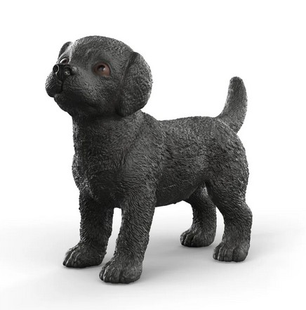 Chiot Labrador Retriver noir Chiot Labrador Retriver noir