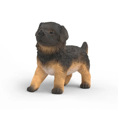 Chiot Berger Allemand Chiot Berger Allemand