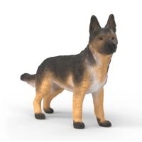 Berger Allemand femelle